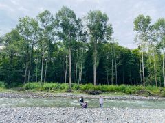 -凤凰山国家森林公园