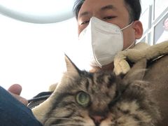 -纳吉亚猫专科动物诊疗中心(蒋宅口分院)