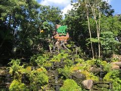 -绿光森林餐厅