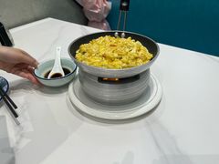 -丁老爷子苏香圆