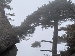 -天柱山风景区