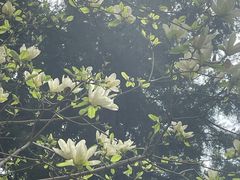 -仁和公园(顺义区)