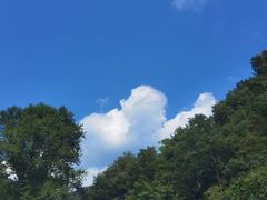 -牛背梁国家森林公园