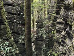 -梭布垭石林景区