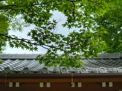 -常寂光寺