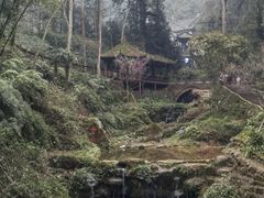 -青城山
