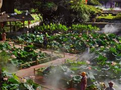 -广州莲花山旅游区