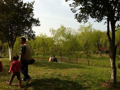 -昆山城市生态森林公园