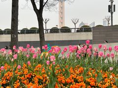 -外滩