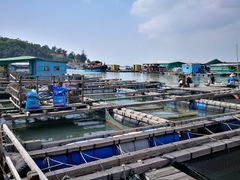 -海上驿站渔家菜馆