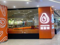 -油梨树 AVOCADO TREE(亮马桥店)