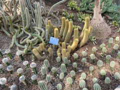 -南山植物园