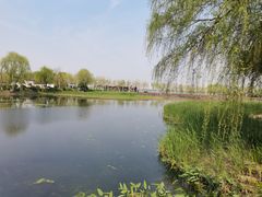 -金银湖国家城市湿地公园