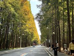 -日照海滨国家森林公园