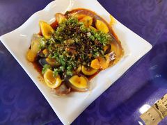-龙翔山庄雷鸡肉(青城后山泰安古镇店)