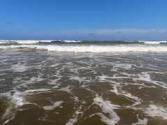 -日照海滨国家森林公园