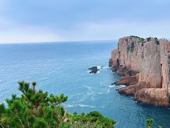 -枸杞岛
