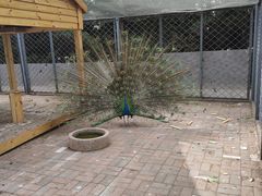 -长白岛森林公园