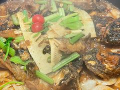 -老板恋上鱼(恒隆广场店)