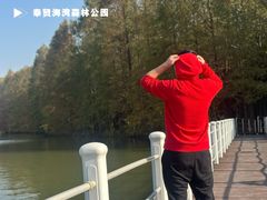 -上海海湾国家森林公园