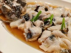 -九福楼大酒店