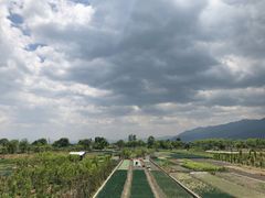 -翠田Green Field Kitchen