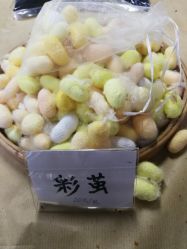 -太湖雪蚕桑文化园