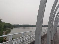 -大兴滨河森林公园