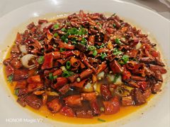 -羲和雅苑•北京烤鸭(国贸商城店)