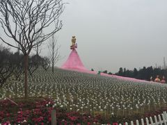 -秀丽东方