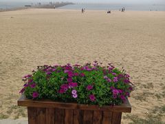 -青岛第二海水浴场