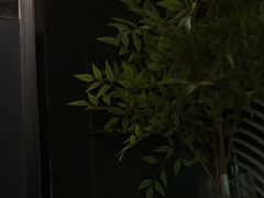 -华夏良子·足道SPA艾灸(金皇大厦店)