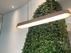 -中间带医疗(成都旗舰店)