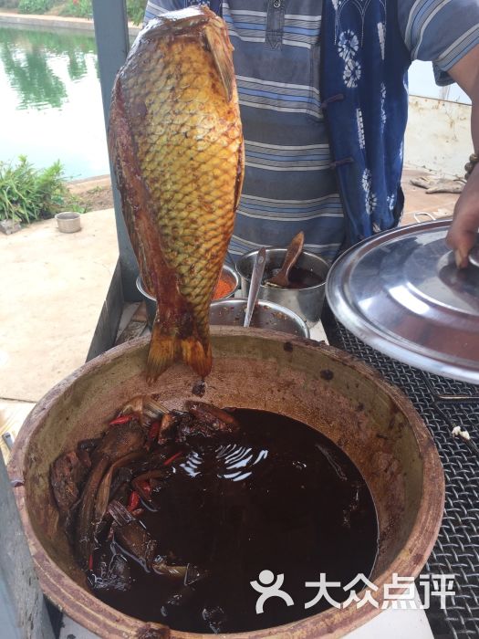 金月湾生态园图片