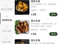 -菌极鲜野生菌火锅店(阳明祠店)
