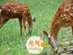 -良渚古城遗址公园