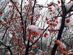 -大兴滨河森林公园