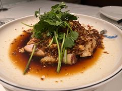 沙姜走地鸡-博多新记·粤菜(复兴店)