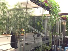 -圣典成人钢琴俱乐部(国贸旗舰校区)