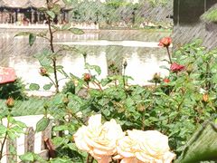 -西海子公园