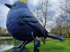 -养云安缦吧THE BAR