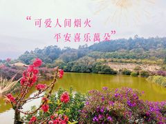 -南国桃园旅游度假区