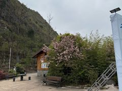 -高荡千年布依古寨旅游景区