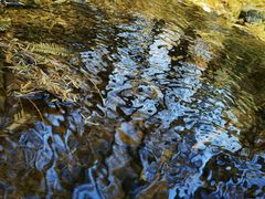 -山王坪喀斯特国家生态公园