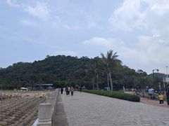 -野狸岛