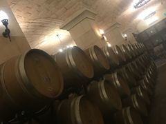 -北京张裕爱斐堡酒庄