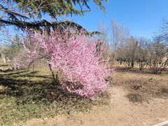 -国家植物园南园