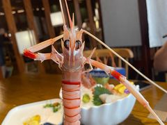 -山盛创作料理·Yamamori(珠宾店)
