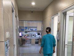 -谐和益家动物医院·免疫绝育·血液透析·宠保定点医院(高新伊藤分院)