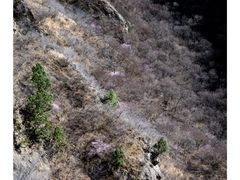 -圣莲山风景区